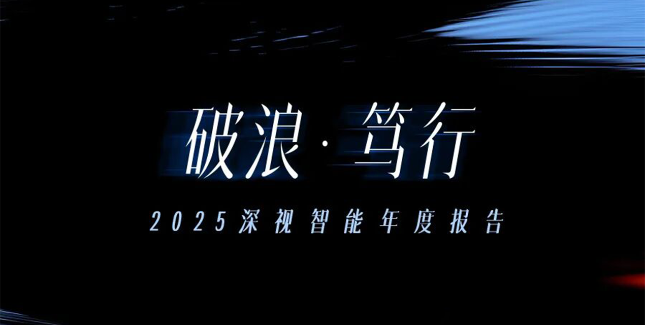 穿越风浪，锚定未来：深视智能2025